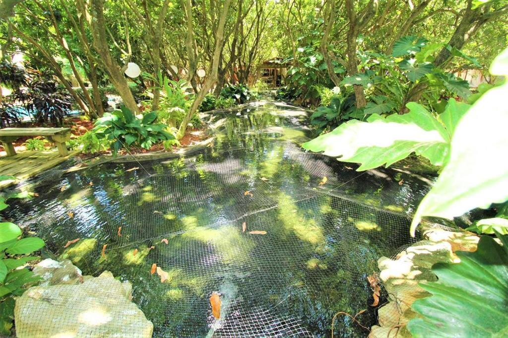 Villa Magical Wonderkoi House In A Japanese Koi Garden Miami Esterno foto